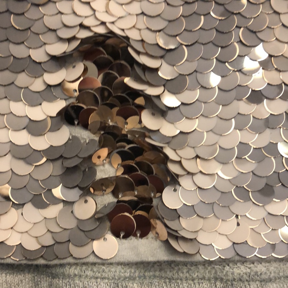 Sequin Front Sweatshirt by Express - Picture 9 of 16